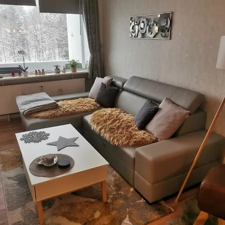 Apartment Ferienwohnung Am Berg Goslar