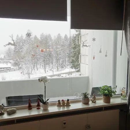 Ferienwohnung Am Berg *
